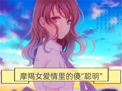 摩羯女爱情里的傻“聪明”_双子女爱情里的傻“聪明”