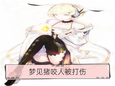 梦见猪咬人被打伤_梦见被打伤